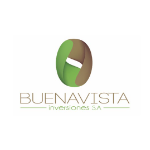 Buenavista inversores sa